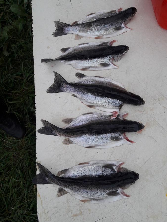 Fish Hotel Akhalkalaki Exteriör bild